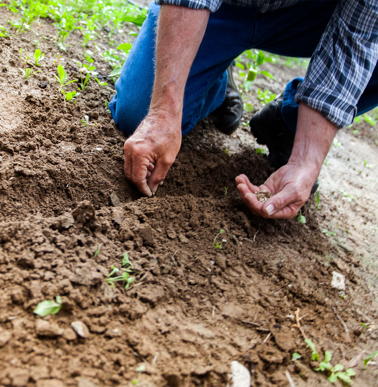 The Tri-Cities Top Reviewed Tree Service The Tri-Cities Top Reviewed Tree Service